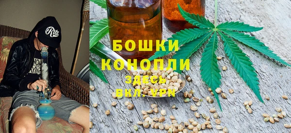 спиды Гатчина